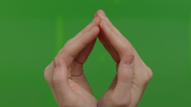 female palms are connected to form a hole through which you can look or peep on a green background, chroma key