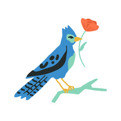 A rare blue jaybird sitting on the a tree branch, holding a flower in its beak. Hand-drawn blue bird vector illustration