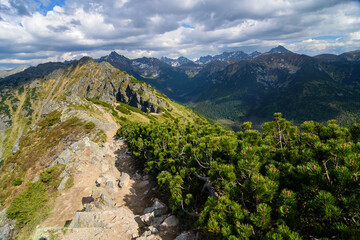 Naklejka na ściany i meble Mountain landscape with a view of the panorama of the peaks of the High Tatras