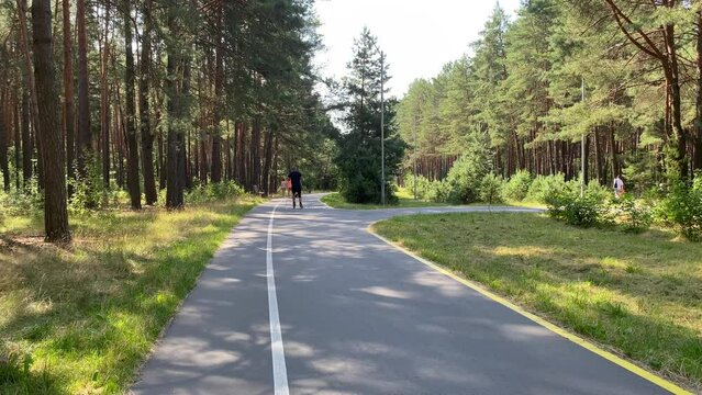 Man on roller skis is passing through a beautiful forest area, people are walking along the roller skiing track on a sunny summer day