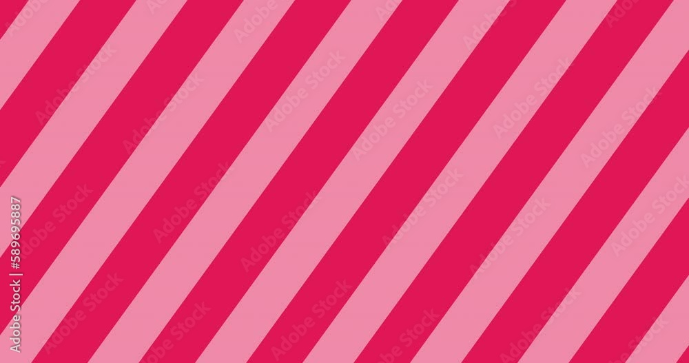 Wall mural seamless loop abstract striped animation. 4k resolution. pink and white line swipe transitions motio
