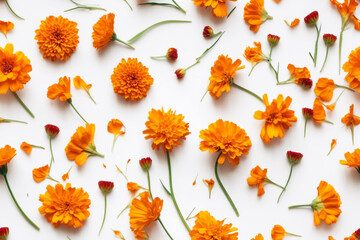 A playful and colorful flat lay featuring an assortment of orange marigold flowers arranged on a crisp white background. Perfect for holiday decorations or cheerful home decor. Generative AI