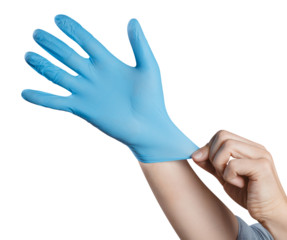 Hands wearing a blue latex glove, cut out