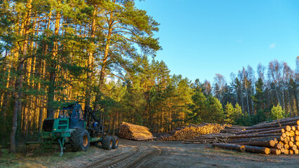 Logging equipment in the forest, loading logs for transportation. Harvesting and storage of wood in the forest. Transportation of freshly cut logs for the forest industry. - Powered by Adobe