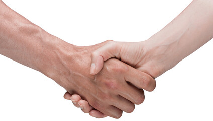 Business handshake and business people on background