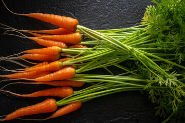 Overhead Angle of a Bunch of Fresh Carrots From the Garden on a Black Background
