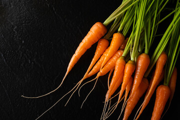 Overhead Angle of a Bunch of Fresh Carrots From the Garden on a Black Background