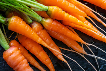 Overhead Angle Closeup of a Bunch of Fresh Carrots