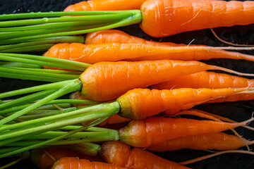 Overhead Angle Closeup of a Bunch of Fresh Carrots