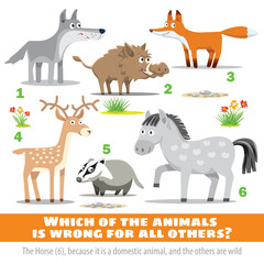 Which of the animals is wrong for all the others. Exercise for mind.