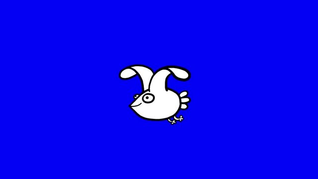 Flying black and white chicken - loop on blue screen. Bird good for any background and any use. 