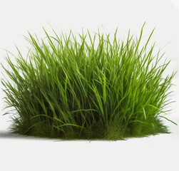 Digital art of green grass on white background, perfect for nature-inspired projects. The modern image with vibrant shades of green creates a peaceful atmosphere. Generative IA.