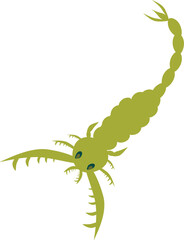 Eurypterid. Sea scorpion. The extinct arthropod.