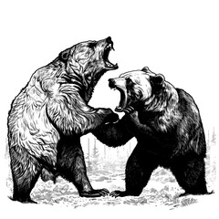 Grizzly bear , Hand drawn sketch in vintage engraving style. PNG ,Generative ai