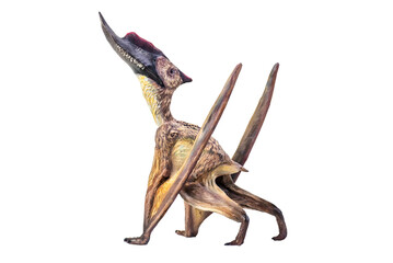 dinosaur , Dsungaripterus  isolated background
