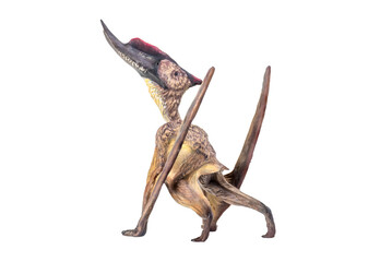 dinosaur , Dsungaripterus  isolated background