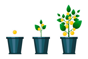 Lemons flowerpot growth. Natural background. Floral background. Vector illustration.