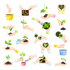 Hands Setting Plants and Green Seedling in Flower Pot Big Vector Set