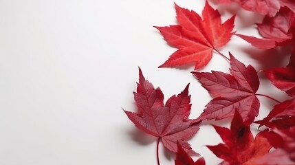 Naklejka na ściany i meble July 1st - Canada Day illustration with maple leaves on white wooden background, Generative ai