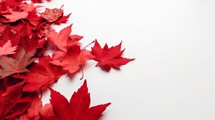 July 1st - Canada Day illustration with maple leaves on white wooden background, Generative ai