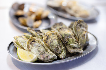 Dish of grill oyster seafood