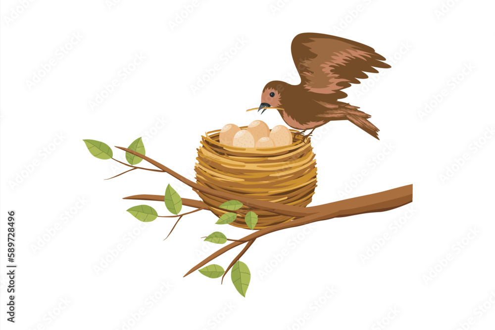 Wall mural bird's nest on a tree branch. bird eggs in the nest
