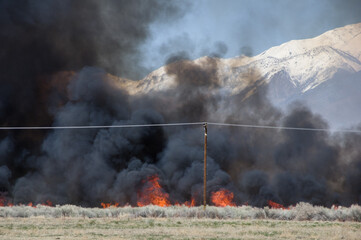 Wildfire Burning In Sagebrush