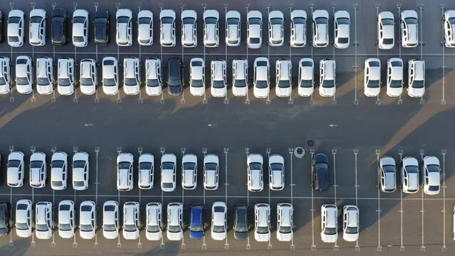Aerial top down view of a dealership cars export or customs terminal in export and import business and logistics with a rows of new vehicles