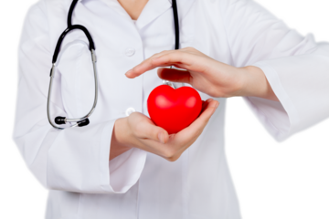 Young female doctor and heart  on background
