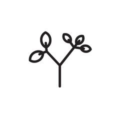 Nature Organic Plant Outline Icon