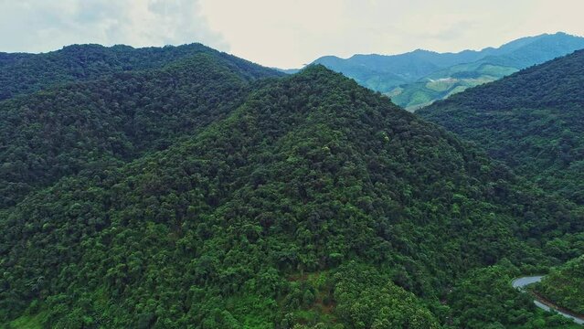 Aerial view of mountains landscape with road over top of mountain with farmland green jungle forest in the morning day at Pua district Nan province Thailand, Beautiful nature video for background