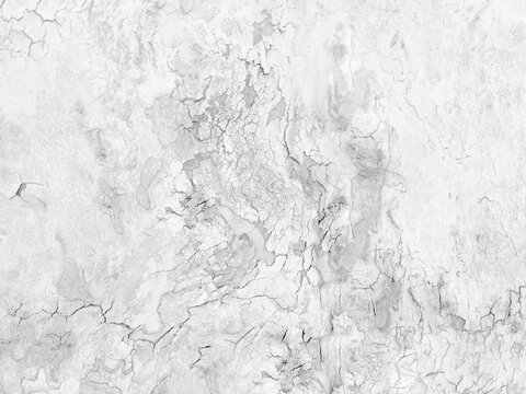 white background texture, presentation template with textured wood grunge. old vintage black and white background. Marbled gray pattern.