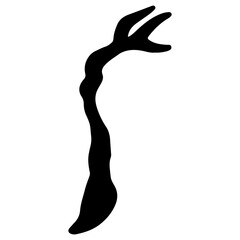 Fototapeta premium branches and tree trunks transparent illustration