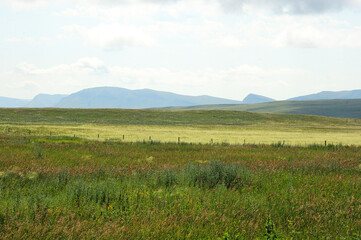 A vast steppe with tall grass at the foot of a high mountain range under a cloudy summer sky.