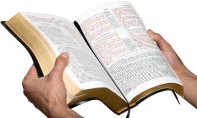 Closeup on Hands Holding an Open Bible