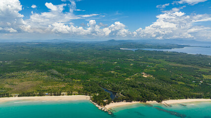 Aerial view of sandy beach with palm trees and ocean with waves. Borneo, Malaysia.
