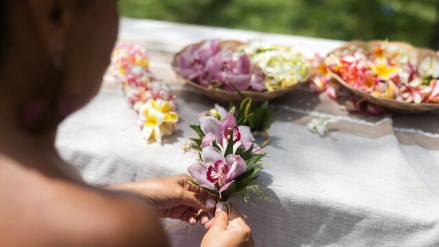 Fototapeta Woman making Hawaiian Lei and Hahu. Process of Handmade flower crown made from Hawaii flower Plumeria.