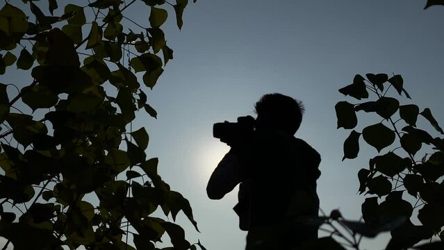 Man framed among leaves raises camera and reviews picture illuminated by moon