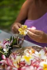 Obraz na płótnie Canvas Woman making Hawaiian Lei and Hahu. Process of Handmade flower crown made from Hawaii flower Plumeria.
