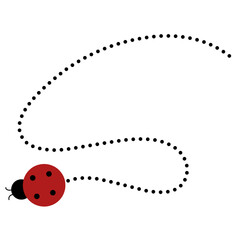 Lady Bug
