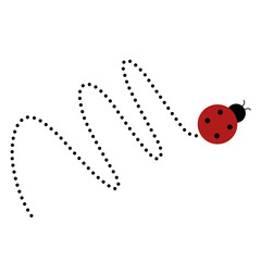 Lady Bug