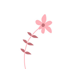 Aesthetic leaves.decorative leaf.invitation leaf