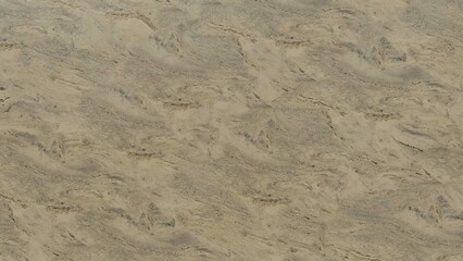  marble pattern cream background