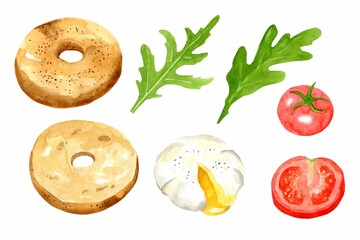 Set elements traditional breakfast with egg, bagel, sandwich, tomatoes and herbs . Hand drawn watercolor illustration isolated on white background. Template for design menu.