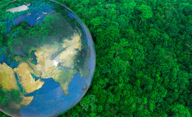 Atmospheric aerial view of the green forest with the earth Demonstrate the concept of preserving the top ecosystem and natural environment and Save Earth.