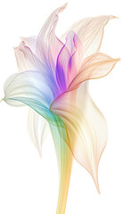 Fototapeta na wymiar The image of a sweet translucent flower is as if in a dream. Generative AI illustration.