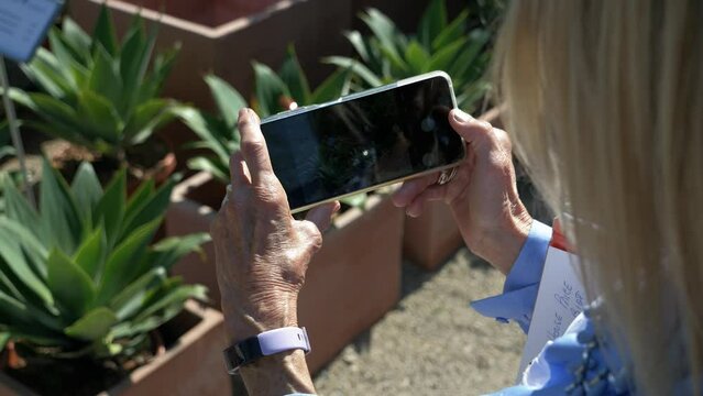 view over the shoulder of a white and blond senior woman who takes a picture of a plant in a pot with her smartphone, she is outside the weather is sunny