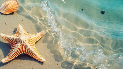 Fototapeta na wymiar starfish and seashell on the summer beach in sea water