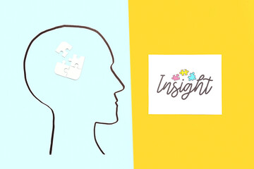 Drawn human head with puzzle pieces and word INSIGHT on color background