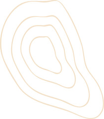 Abstract Shape Line Vector